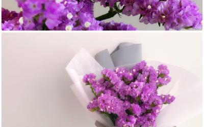 Limonium sinuatum｜毋忘我 （下）